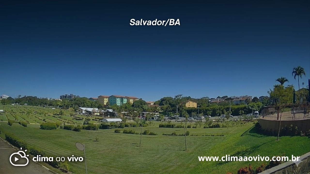 Acesse a c&acirc;mera ao vivo em Salvador/BA